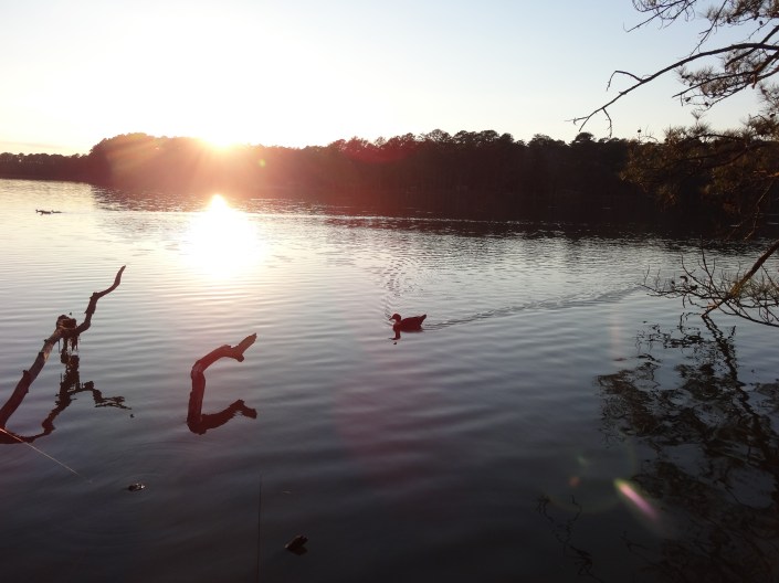 One last warning from the water