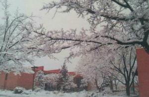 Picture from the First Unitarian Church of Albuquerque Order of Service, January 6, 2013