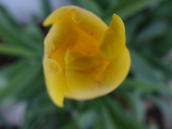 One of my favorite photos, taken at my parents' home in Ohio