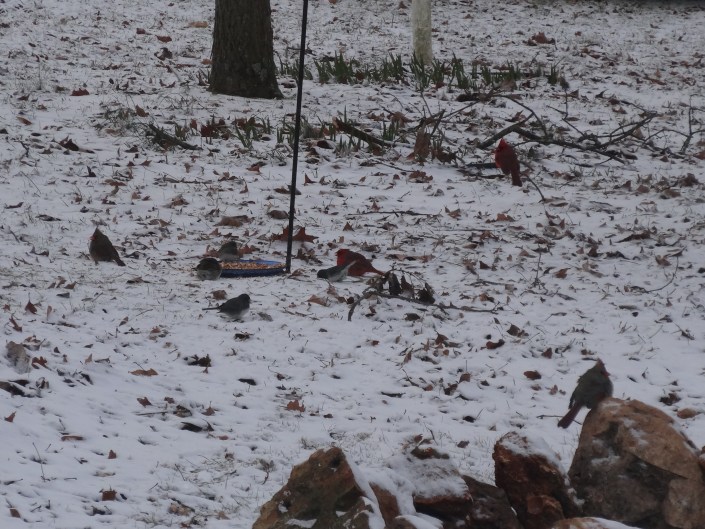 Peaceful resolution in a shared space with everyone taking turns!