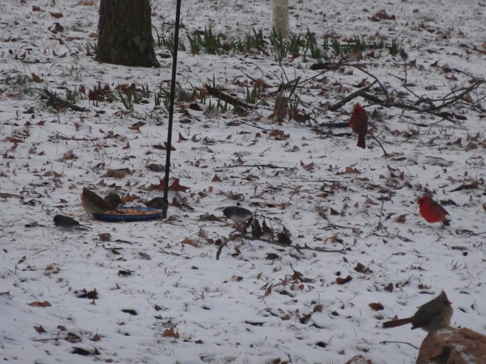 Finally taking turns