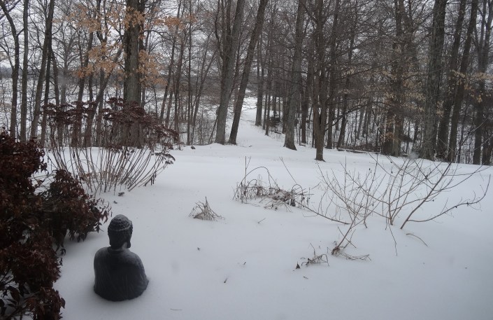 An icy Buddha's eye view