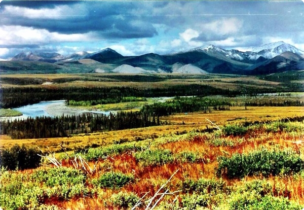 Live a year in Alaska!